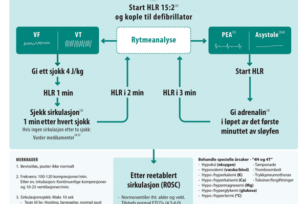 Avansert HLR - barn