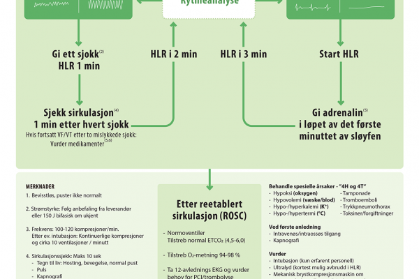 Avansert HLR - voksne