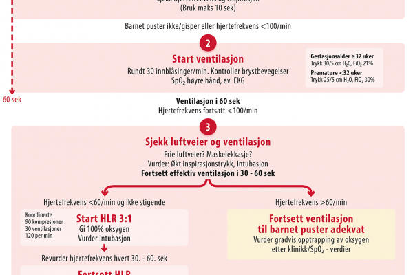 Resuscitering av nyfødte - inhospitalt